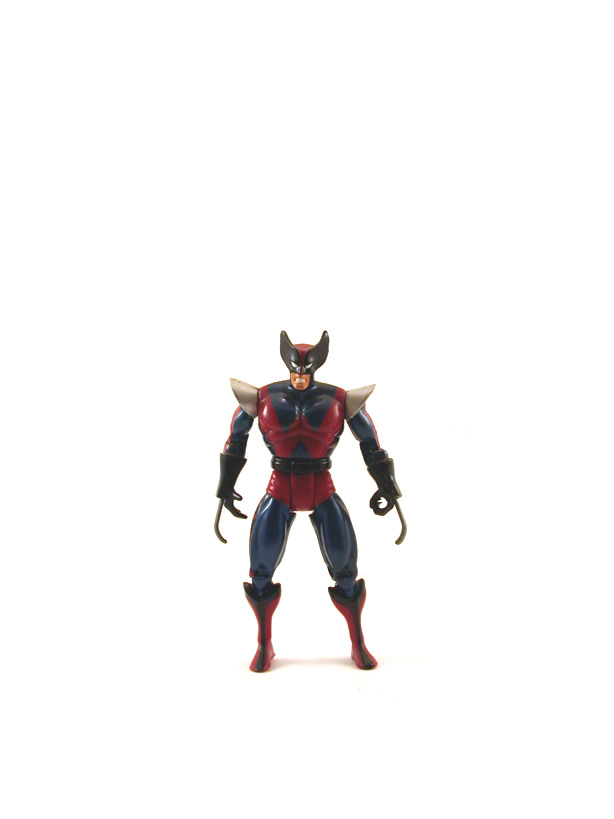 swfbase