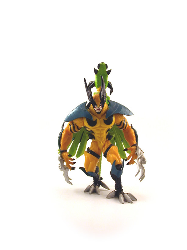 evolutionninja